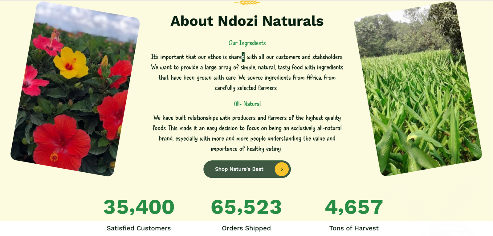 Ndozi Naturals – Organic Ecommerce Store