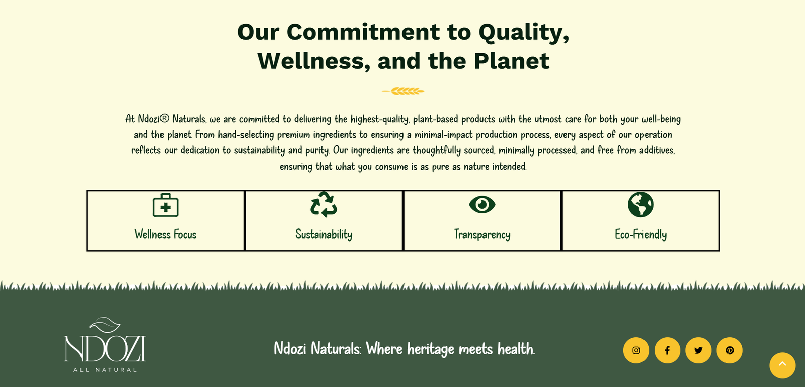 Ndozi Naturals – Organic Ecommerce Store